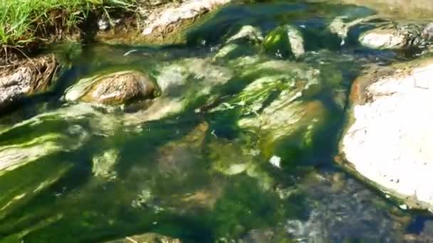 Movendo Tiro Fontes Termais Vulcânicas Que Fluem Através Rocha Natural — Vídeo de Stock