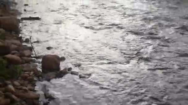 早朝に蒸気で自然の岩のビーチをゆっくりと流れる新鮮な川の流れの水の眺め 田舎の美しい霧の川 — ストック動画