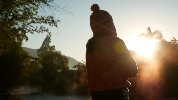 Silueta Feliz Hermosa Mujer Joven Disfrutando Naturaleza Vista Con Frío — Vídeo de stock