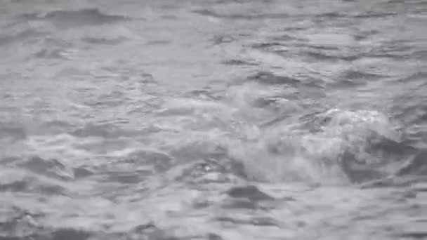 Вигляд Прісну Річкову Течію Води Повільно Тече Через Природне Кам — стокове відео