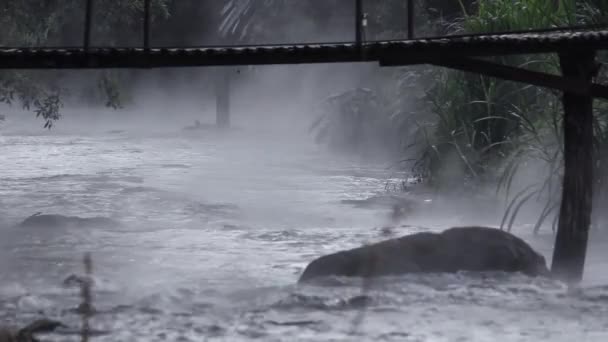Vue Eau Douce Ruisseau Rivière Qui Coule Lentement Travers Plage — Video