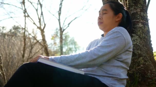 Asiatique Détendue Jeune Femme Assise Sous Arbre Dans Jardin Printemps — Video