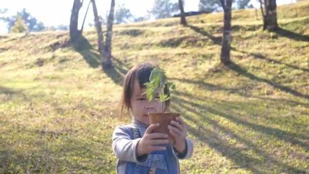 自然を背景に小さな鍋で成長している木を保持する小さなアジアの子供の女の子 — ストック動画