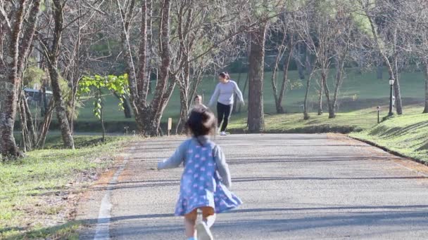 亚洲家庭在户外公园里很开心 度假期间 父母亲和孩子们在花园里散步 — 图库视频影像
