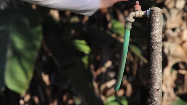 Vrouw Volwassen Wassen Handen Van Stalen Kranen Tuin — Stockvideo