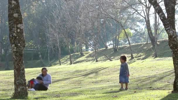 Ázsiai Család Boldog Nyugodt Parkban Szabadban Szülők Gyermekek Sétálni Futni — Stock videók