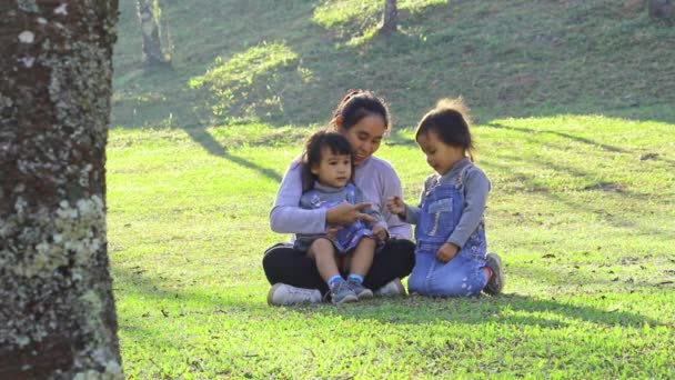 Familia Asiática Feliz Relajado Parque Aire Libre Padres Hijos Van — Vídeo de stock