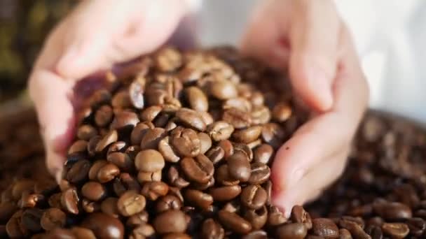 Närbild Händer Hälla Kaffebönor Till Hög Med Kaffebönor — Stockvideo