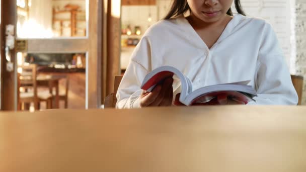 Mujer Bastante Joven Relajarse Leer Libro Sentado Una Silla Madera — Vídeos de Stock