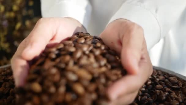 Eller Kahve Çekirdeklerini Kahve Çekirdeğine Döküyor — Stok video