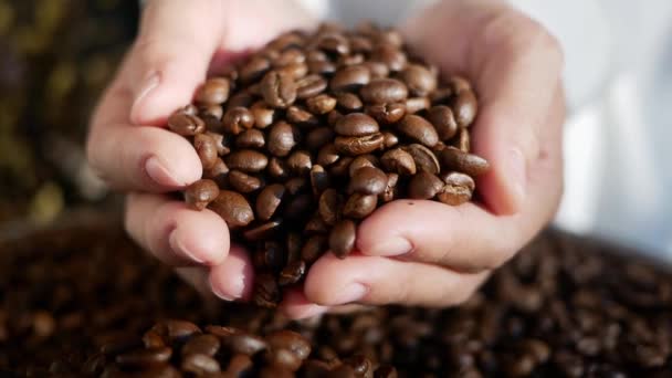 Eller Kahve Çekirdeklerini Kahve Çekirdeğine Döküyor — Stok video