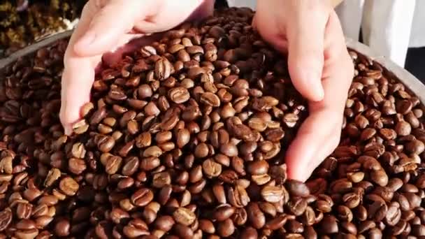 Close Hands Pouring Coffee Beans Pile Coffee Beans — Stock Video