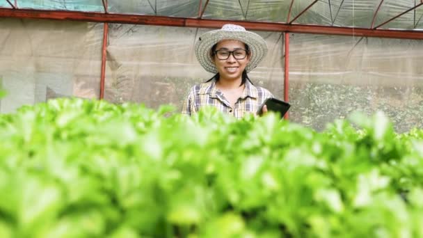Asiatiska Unga Kvinnliga Jordbrukare Som Använder Surfplatta Ekologisk Grönsakssallad Växthus — Stockvideo