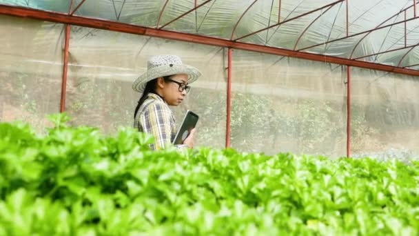 Aziatische Jonge Vrouwelijke Boer Met Behulp Van Tablet Biologische Groentesalade — Stockvideo