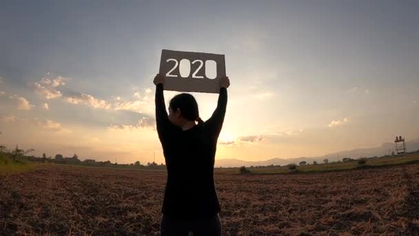 Silhouette Woman Holding Recycle Cardboard 2020 Text Sunset Sky Background — Stock Video