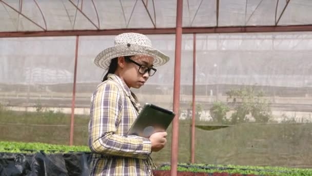 Asiatiska Unga Kvinnliga Jordbrukare Som Använder Digitala Surfplattor Växthus Jordbrukare — Stockvideo