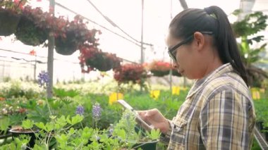 Asyalı genç bayan bahçıvan serada çalışmak için akıllı telefon kullanıyor. Tarım alanında teknoloji kullanma kavramları.
