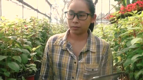 Asiática Joven Agricultora Utilizando Tableta Digital Invernadero Agricultor Que Utiliza — Vídeos de Stock