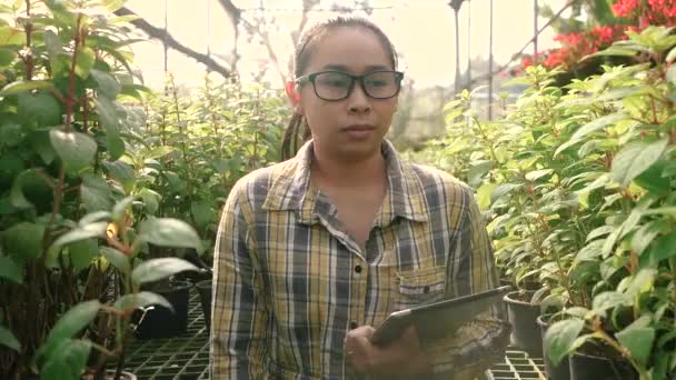 Aziatische Jonge Vrouwelijke Boer Met Behulp Van Digitale Tablet Kas — Stockvideo