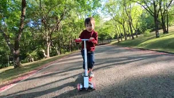 Linda Niña Divirtiéndose Montar Scooter Carretera Parque Verano Concepto Familia — Vídeos de Stock