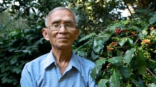 Senior Farmers Looking Camera Showed Proud Smile His Coffee Farm — 비디오