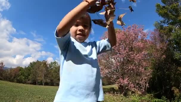 Cheerful Little Child Girl Throwing Yellow Leaves Autumn Park — 비디오