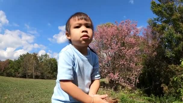 Fröhliches Kleines Mädchen Wirft Gelbe Blätter Herbstpark — Stockvideo