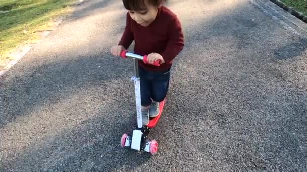 Linda Niña Divirtiéndose Montar Scooter Carretera Parque Verano Concepto Familia — Vídeo de stock