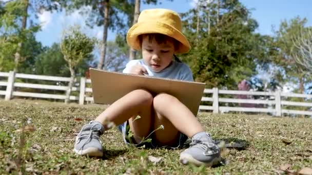 Artista Bambina Seduta Dipingere Sulla Scatola Cartone Riciclaggio Parco Estivo — Video Stock