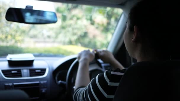 Νεαρή Γυναίκα Προσαρμόζει Τον Καθρέφτη Πριν Οδηγήσει Έννοια Ασφαλούς Οδήγησης — Αρχείο Βίντεο