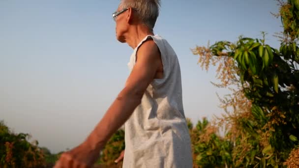 Asiatique Senior Homme Exercice Dans Parc Pour Une Bonne Santé — Video