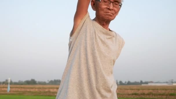 Asian Homem Sênior Exercício Parque Para Uma Boa Saúde Conceito — Vídeo de Stock