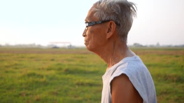 Hombre Mayor Asiático Corriendo Parque Por Buena Salud Concepto Sanitario — Vídeos de Stock