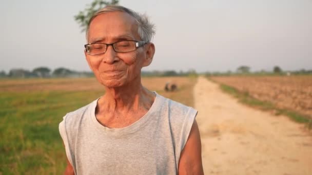 Uomo Anziano Asiatico Che Jogging Nel Parco Buona Salute Concetto — Video Stock