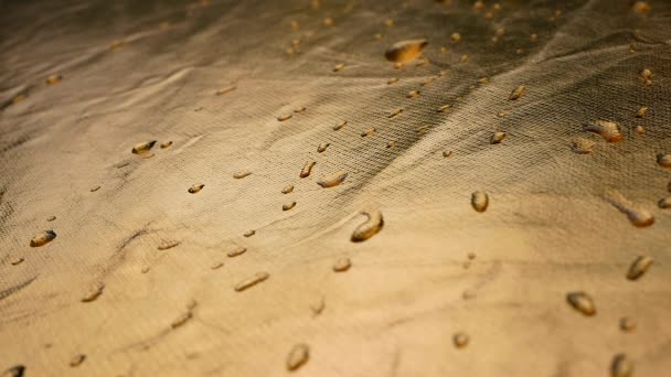 Rolling Water Droplets Light Golden Background Abstract Texture — Stock Video