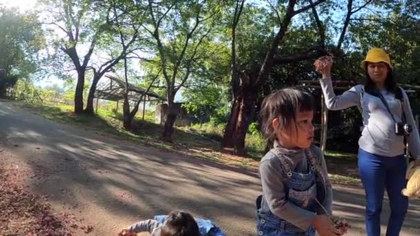 Annesiyle Birlikte Bir Yaz Parkında Oynayan Iki Kardeş Kız Kardeş — Stok video