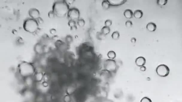 Повітряні Бульбашки Воді Заливанні Води Склі Фотографії Підводного Кута Творчий — стокове відео
