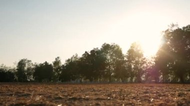Asian senior man jogging in the park for good health on sunshine day. Healthcare concept. 