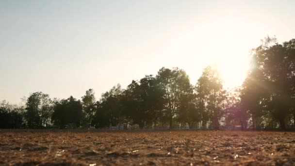 ชายอาว โสเอเช งในสวนสาธารณะเพ ขภาพท ในว แสงแดด แนวค ดการด แลส ขภาพ — วีดีโอสต็อก