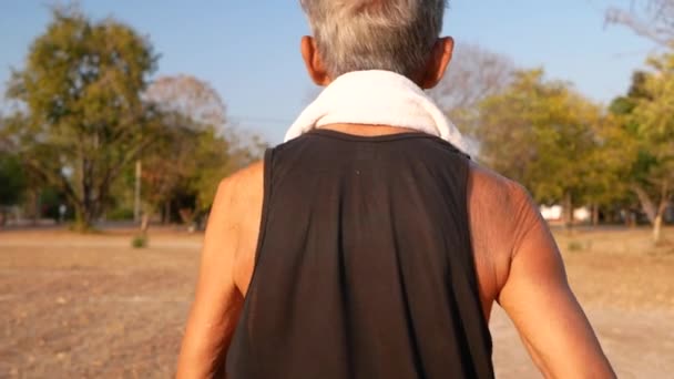 Bakre Delen Asiatiska Senior Man Joggar Parken För God Hälsa — Stockvideo
