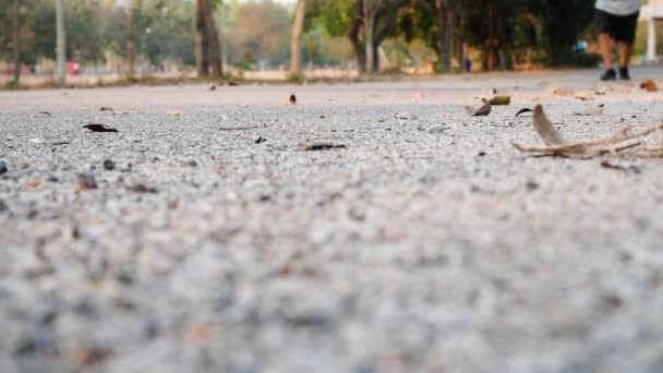 Azjatycki Starszy Mężczyzna Używa Rąk Kolanie Powodu Bólu Kolana Joggingu — Wideo stockowe