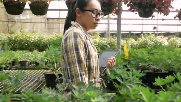 Jóvenes Jardineras Asiáticas Usando Tableta Digital Plántulas Invernadero Agricultor Que — Vídeos de Stock