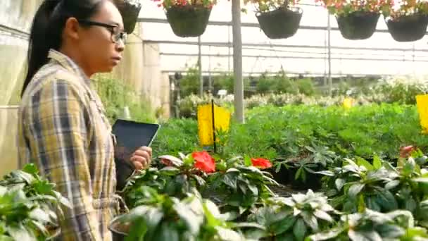 Азиатские Молодые Садовницы Используют Цифровые Планшеты Оранжерее Фермер Помощью Планшетного — стоковое видео