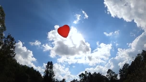 Globo Rojo Forma Corazón Flotaba Hacia Cielo Jardín Primavera Símbolo — Vídeos de Stock