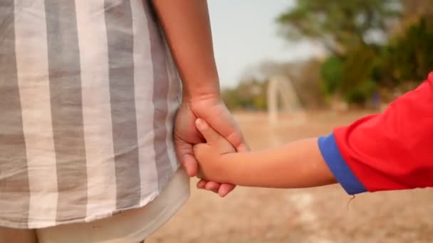 Bakifrån Asiatisk Mor Håller Hand Med Liten Dotter Går Tillsammans — Stockvideo