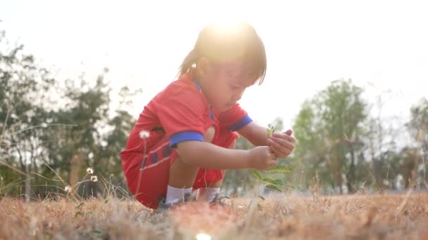 Schattig Meisje Dat Naar Groene Planten Kijkt Natuur Buiten Bestudeert — Stockvideo