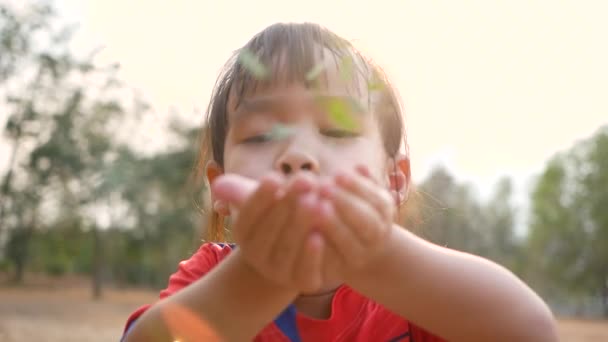 Roztomilé Dítě Dívka Foukání Listí Rukou Venku Koncept Šťastného Dětství — Stock video