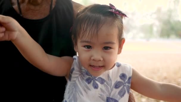 Retrato Avô Feliz Neta Sorrir Olhando Para Câmera Parque Verão — Vídeo de Stock