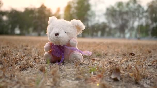 Adorable Niña Caminando Para Abrazar Oso Peluche Que Sentó Suelo — Vídeo de stock