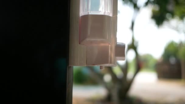 Nahaufnahme Weiblicher Hände Mit Waschwasser Handseifengel Durch Drücken Der Taste — Stockvideo